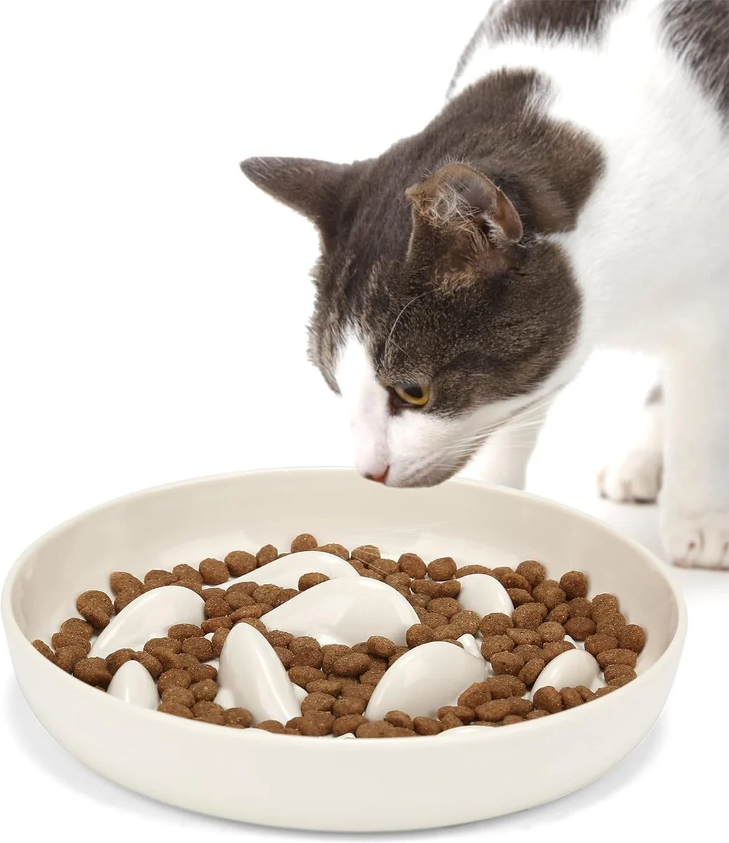 Anti-schrokbak voor katten en kleine honden, antislip, langzaam eten hond met hoge rand tegen uitvallen (16 x 16 cm, wit) - Afbeelding 2