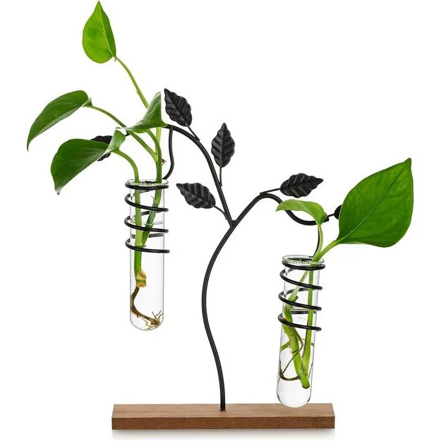 Propagatiestation vaas, glas, tafelplanten, terrarium, bloemenvaas, modern, creatieve hydrocultuur, vazen, decoratie, reageerbuisvaas met metalen frame, kleine glazen vazen voor - Afbeelding 2